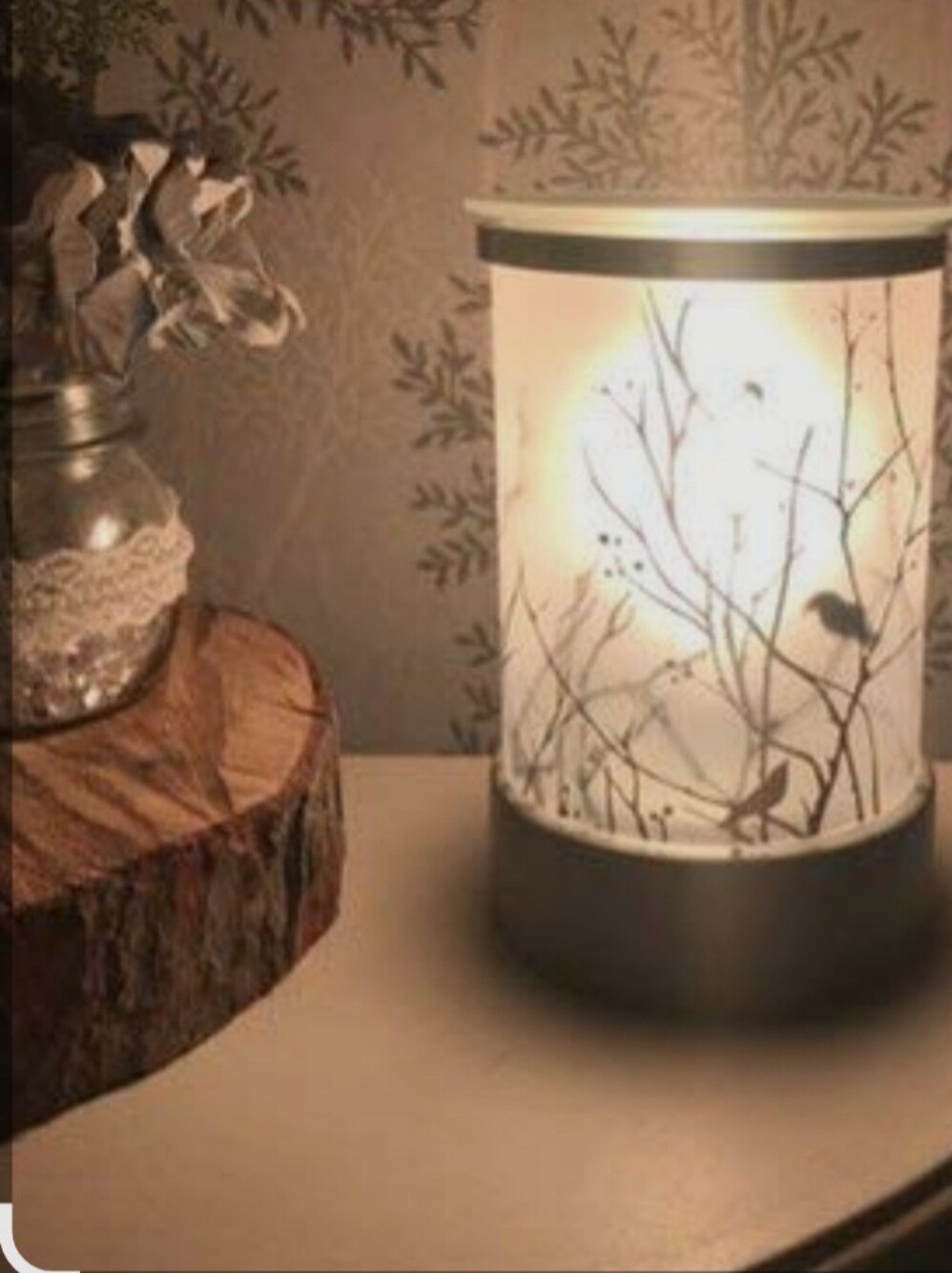 Scentsy White and Black Starlings Lantern Warmer